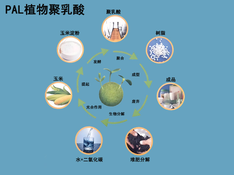 可降解針刺棉|環(huán)保可降解針刺棉|可降解針刺棉定制|可降解植物纖維