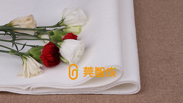 滌綸針刺無(wú)紡布廠