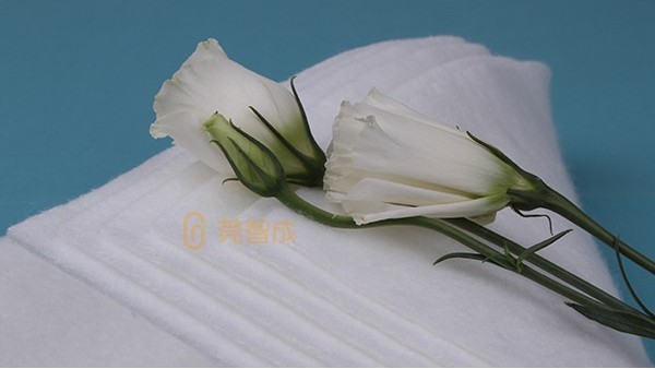 鮮花吸水棉-正規廠家