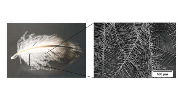 企鵝絨毛狀的人造纖維你見過嗎？