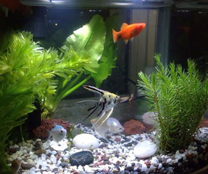 無膠棉用于水過濾