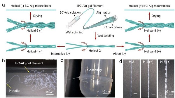 新型仿生增強增韌納米復合纖維材料