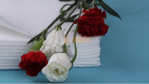 花泥和吸水棉哪個(gè)保水時(shí)間長(zhǎng)