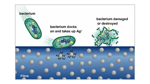 抗菌紡織品加工、發(fā)展及應(yīng)用